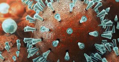 5 Coronavirus positive cases in Kerala