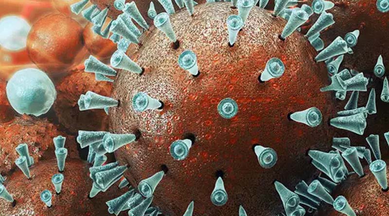 5 Coronavirus positive cases in Kerala