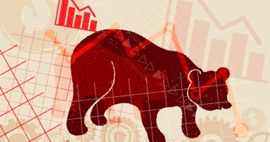 Indian stocks fall to bear market.