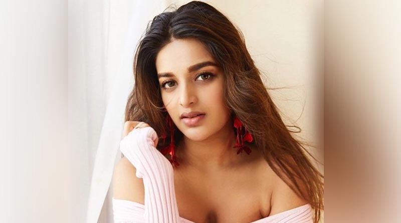 Nidhhi Agerwal Awesome Looks
