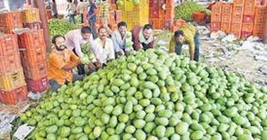 gaddi annaram fruit market