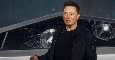 Tesla chief Ellen Musk