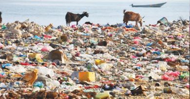 The use of plastic as a panacea