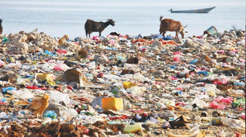 The use of plastic as a panacea