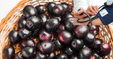 jamun fruit- to control blood pressure