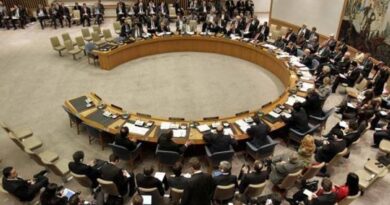 China opposes India in Security Council