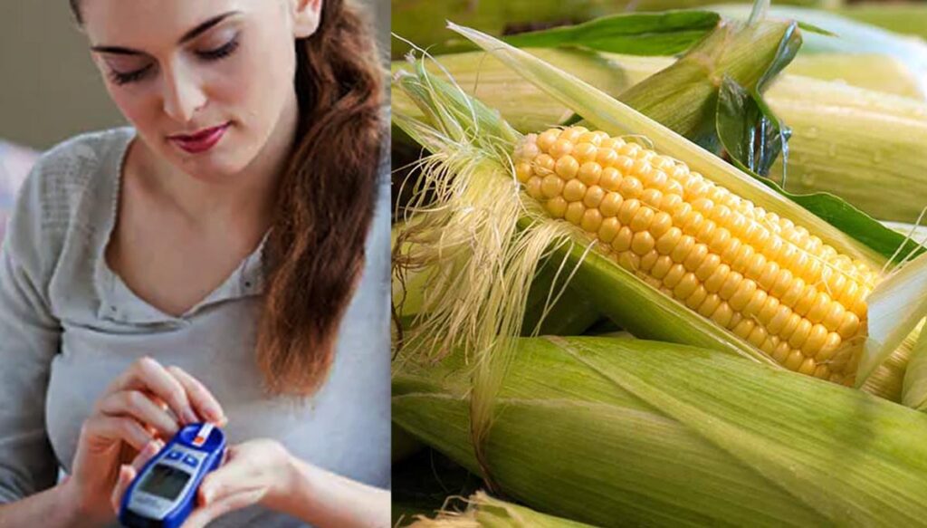 Corn that controls sugar levels